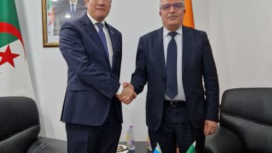 Sonelgaz Explores Expanded Energy Partnership with Kazakhstan