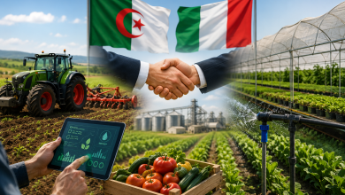 Fifteen Italian Firms Explore Algerian Agricultural Sector