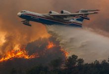 Wildfires in Jijel Province Fully Controlled, Public Safe