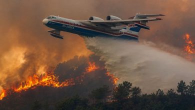 Wildfires in Jijel Province Fully Controlled, Public Safe
