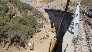 Minister Djellaoui Commends Mining Line Project Acceleration
