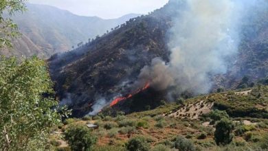 Civil Protection Masters 22 Fires Nationwide in 24 Hours