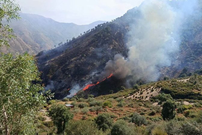 Civil Protection Masters 22 Fires Nationwide in 24 Hours