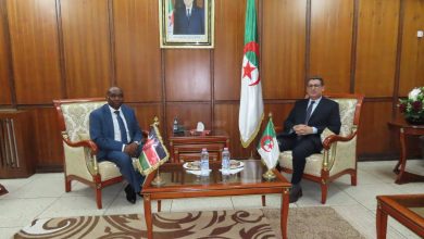 Algeria and Kenya Agree on Joint Health Cooperation Program
