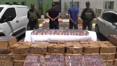 Gendarmerie Seizes Half-Million Psychotropic Pills in Constantine