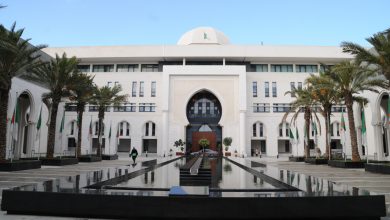 Niger Receives Algeria's Full Solidarity Amidst Niamey Events