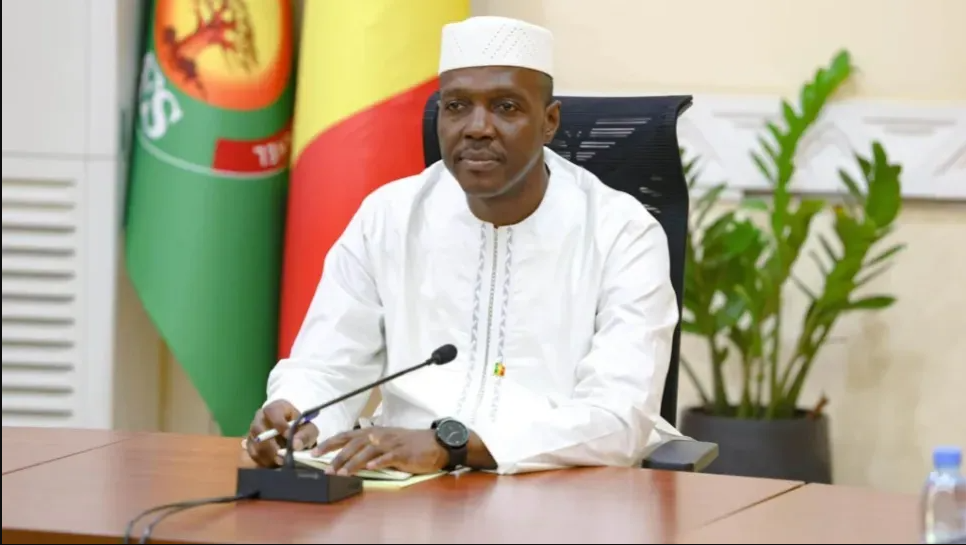 Diplomatic Progress as Malian Premier Visits Algeria