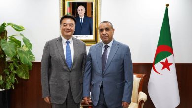 China Baowu Group Explores Algerian Energy, Steel Partnerships