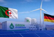 German Delegation Arrives for Green Hydrogen Project Exploration