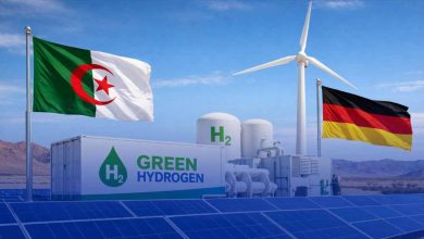 German Delegation Arrives for Green Hydrogen Project Exploration