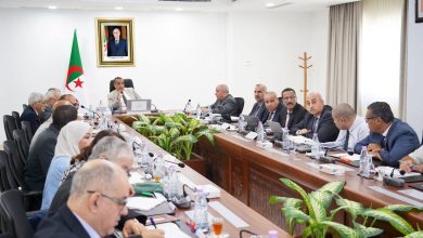 National Energy System Gears Up for 2027 Summer Demands