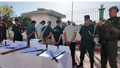 Nine Arrested, 13 Stolen Vehicles Recovered by Algiers Police