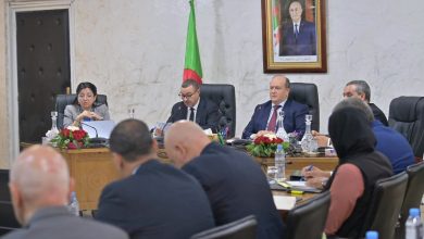 Algerian Prime Minister Chairs Key Meeting for 2026-2027 Social and School Year Preparations