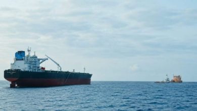 African Energy Partnerships Deepen Through Sonatrach's Efforts