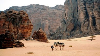 Adrar Welcomes Eighth International Saharan Tourism Festival