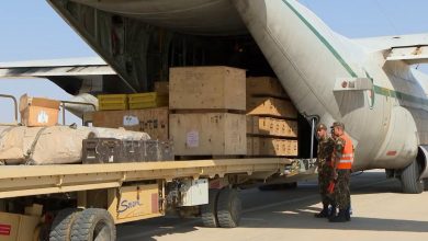 Algeria's Military Aid to Niger Strengthens Bilateral Cooperation and Regional Security