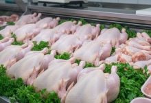 ONAB Confirms Continued Frozen Chicken Sales at 350 DA/kg