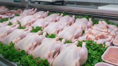 ONAB Confirms Continued Frozen Chicken Sales at 350 DA/kg