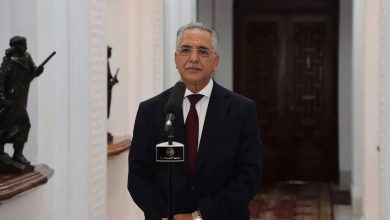 Saad Arous Affirms ANIE Commitment to Electoral Integrity