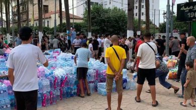 President Tebboune Praises National Solidarity for Wildfire Victims