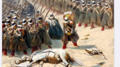 Academic Study Exposes French Colonial Violence