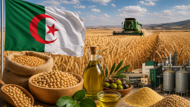 US Agriculture Department Cites Algerian Output Increases