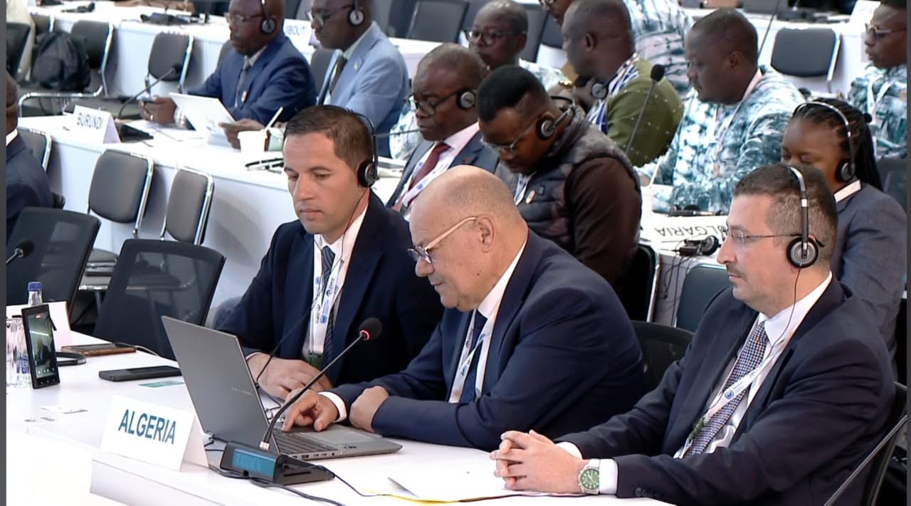 General Director Tawahria Advocates Desertification Funding at UN Conference