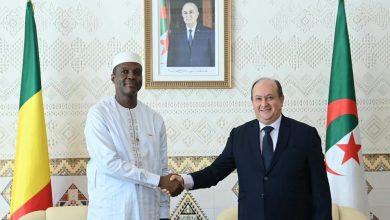 Algiers, Bamako Focus on Regional Security and Economic Ties
