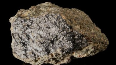 Martian Rock Found in Algeria Reveals Planetary Past