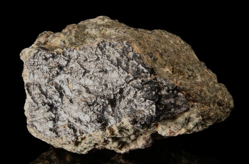 Martian Rock Found in Algeria Reveals Planetary Past