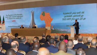 Economic Forecasts Position Algeria as Africa's Second Largest by 2043