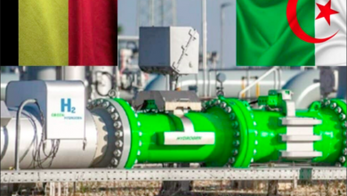 Green Hydrogen Focus for German Delegation in Algeria