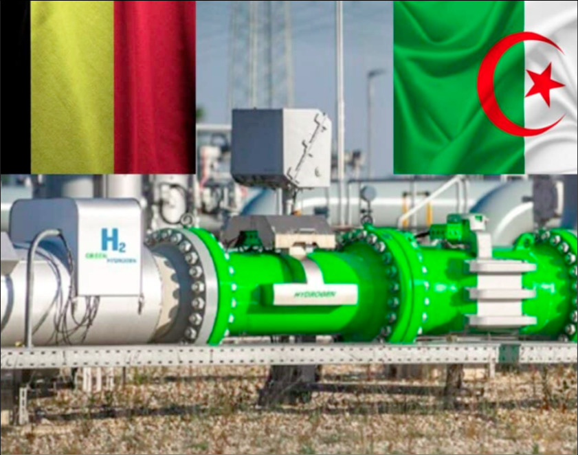 Green Hydrogen Focus for German Delegation in Algeria
