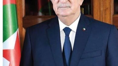 President Tebboune Appoints Saïd Arrous as ANIE President