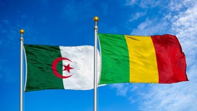 Sahel Security: Expert Urges Redefining Algeria-Mali Ties