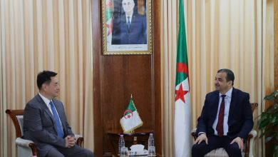 Algeria Consolidates Strategic Partnership with China Baowu Group for Green Steel Industry