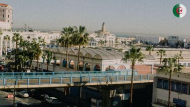 Tlemcen's Heritage, Welcome Impress French National Assembly Member