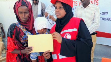 Djibouti, Tunisia Ex-President Offer Algeria Wildfire Support