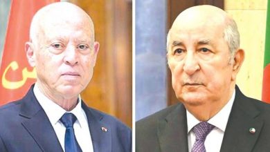 African Union Council Hears Algeria's Integrated Peace Plan