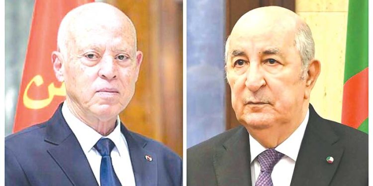 African Union Council Hears Algeria's Integrated Peace Plan