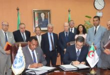 WHO and Algeria Partner to Enhance Health Services