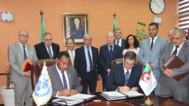 WHO and Algeria Partner to Enhance Health Services