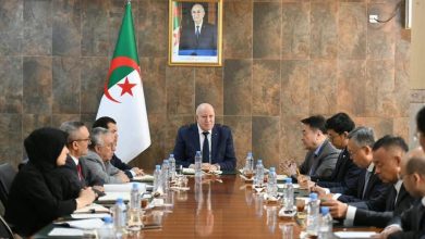 China Baowu to Present El Hadjar Rehabilitation Plan by September