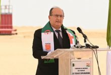 Niger, Algeria develop broad industrial and energy cooperation