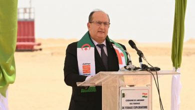 Niger, Algeria develop broad industrial and energy cooperation