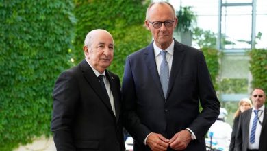 Algeria's Security Services Successfully Liberate German National in Sahel Operation