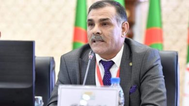 Food Industry Waste to Drive New Algerian Industries