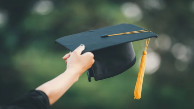 Ministry of Higher Education Details Digital University Registration