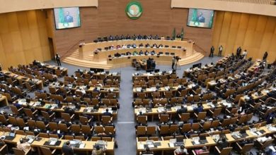 AU Technical Meeting on African Court Statute Held in Algiers