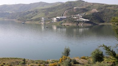 Water Reserves Remain Strong Despite Record Temperatures